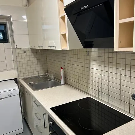 A&x Seagull's Rubedo *